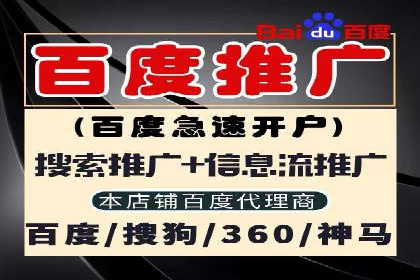 创新引领者：某信息流广告公司的技术突破案例